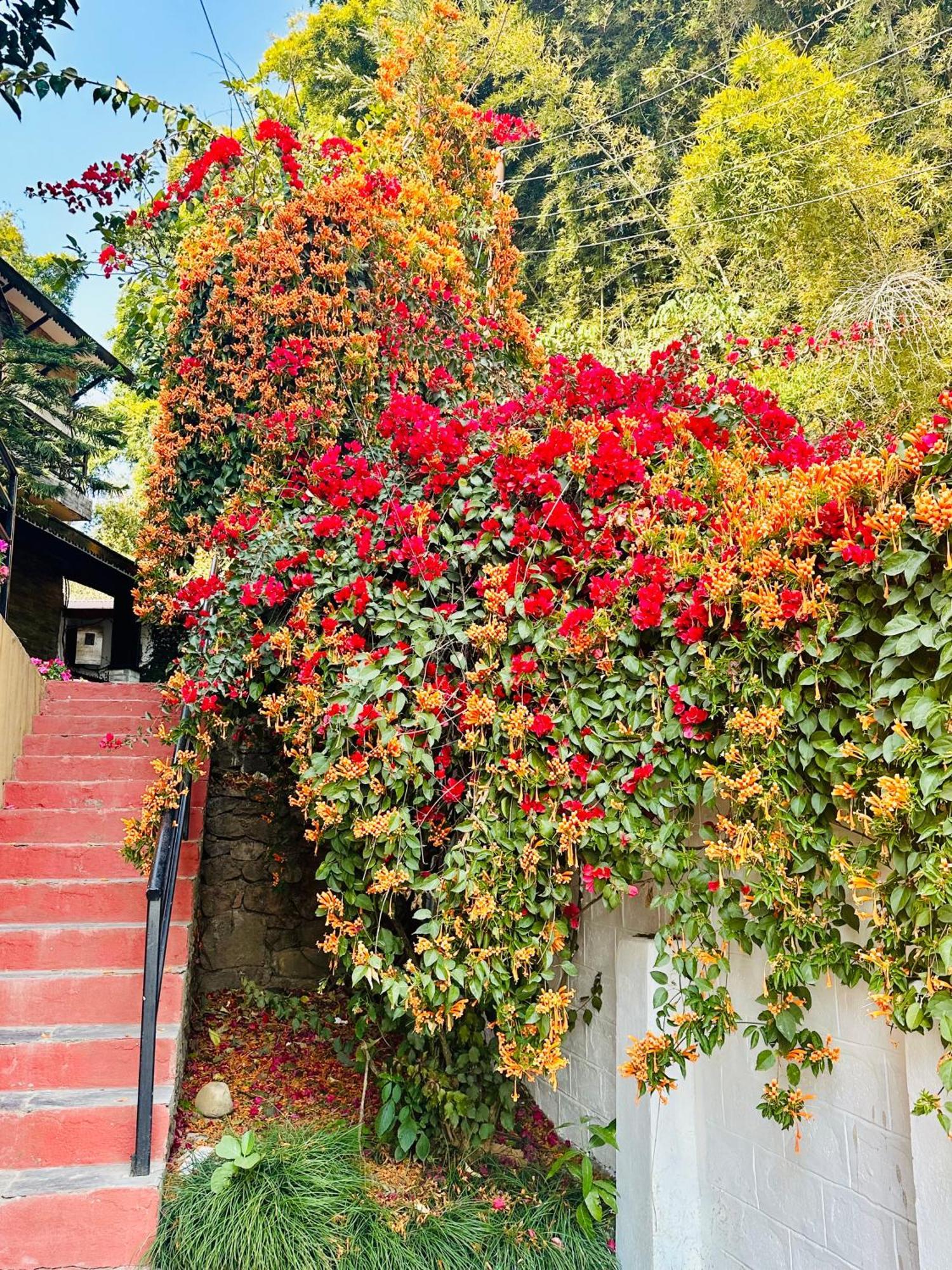 Homeland Forest Villa 포카라 외부 사진
