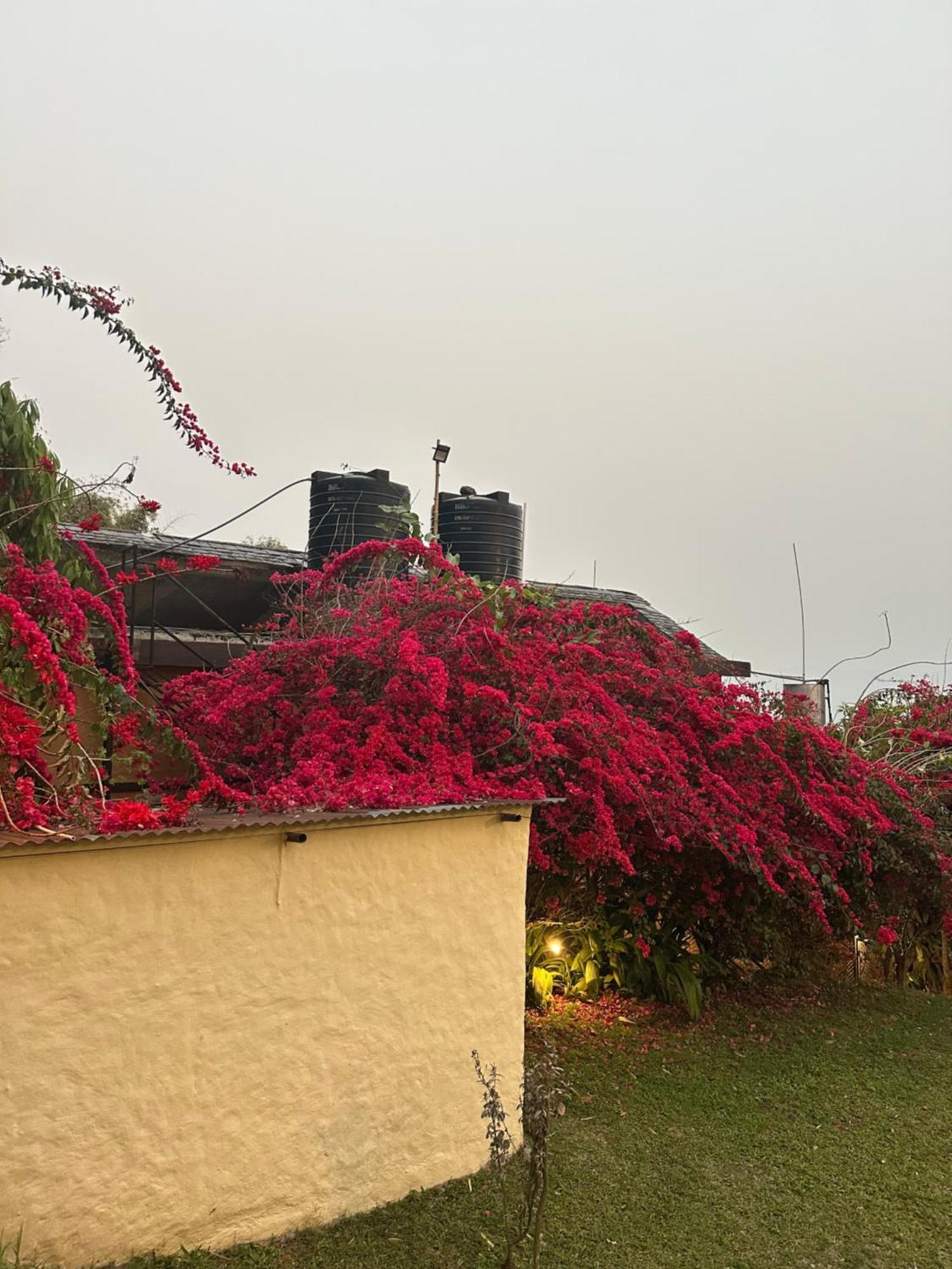 Homeland Forest Villa 포카라 외부 사진
